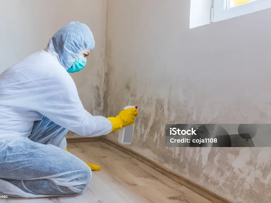 Controlled remediation setup