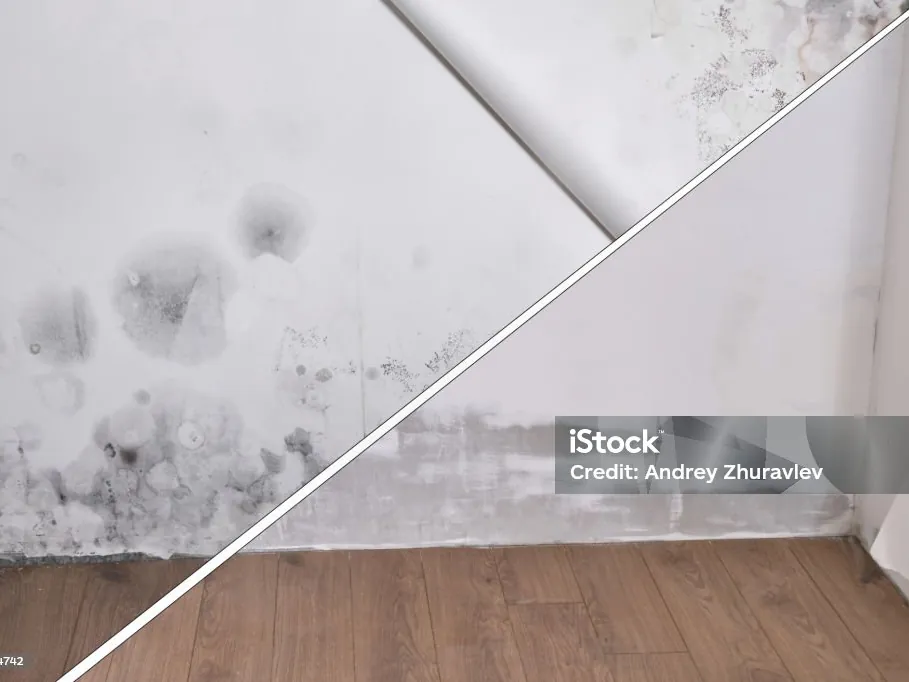 Before-and-after room condition