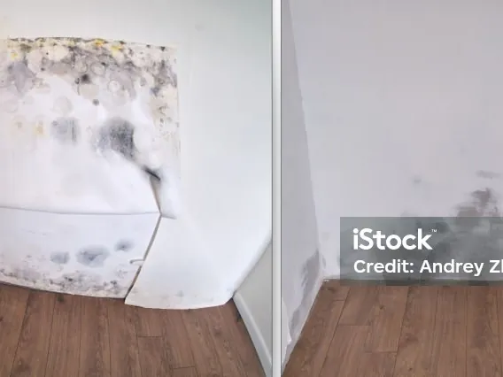 Water-damage condition comparison